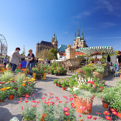 Homepage - Erfurt Tourismus